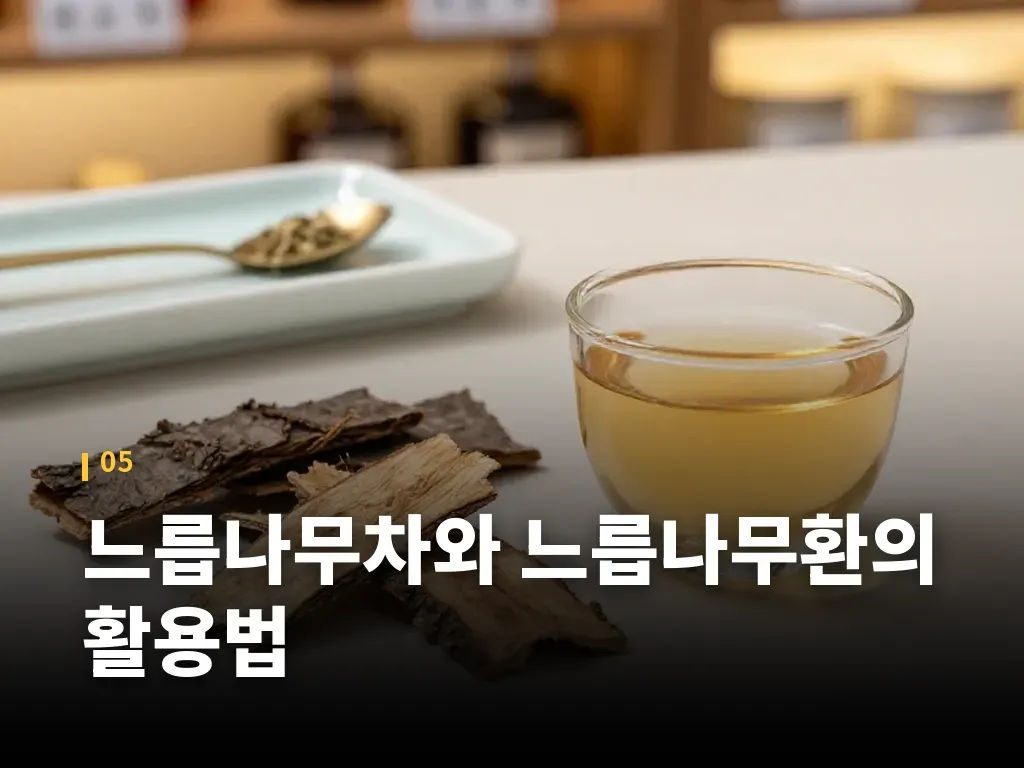 느릅나무차와 느릅나무환의 활용법 이미지