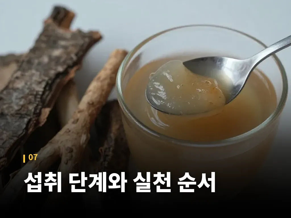 섭취 단계와 실천 순서 이미지