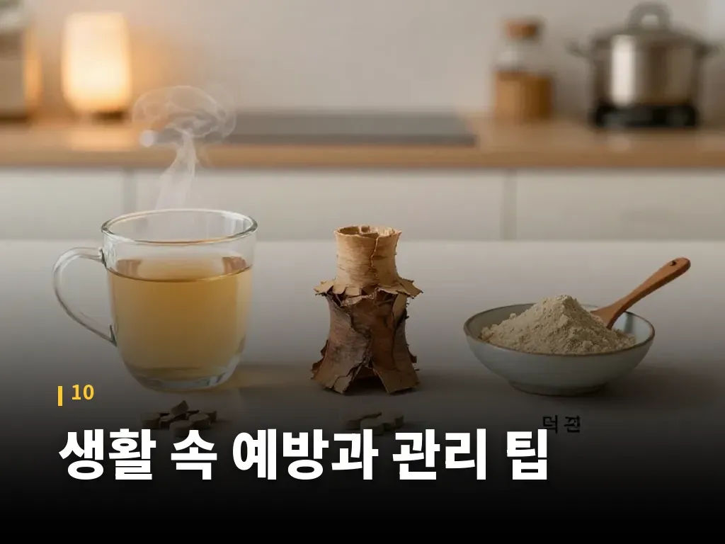 생활 속 예방과 관리 팁 이미지