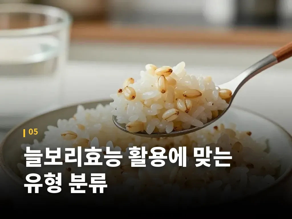 늘보리효능 활용에 맞는 유형 분류 이미지
