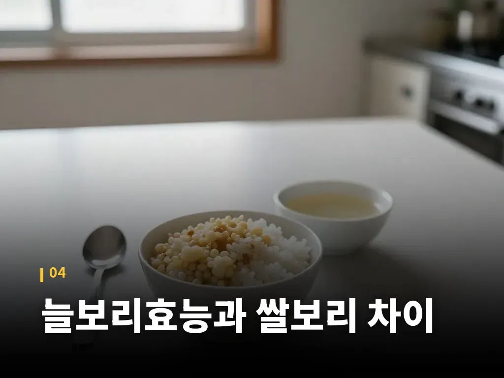 늘보리효능과 쌀보리 차이 이미지