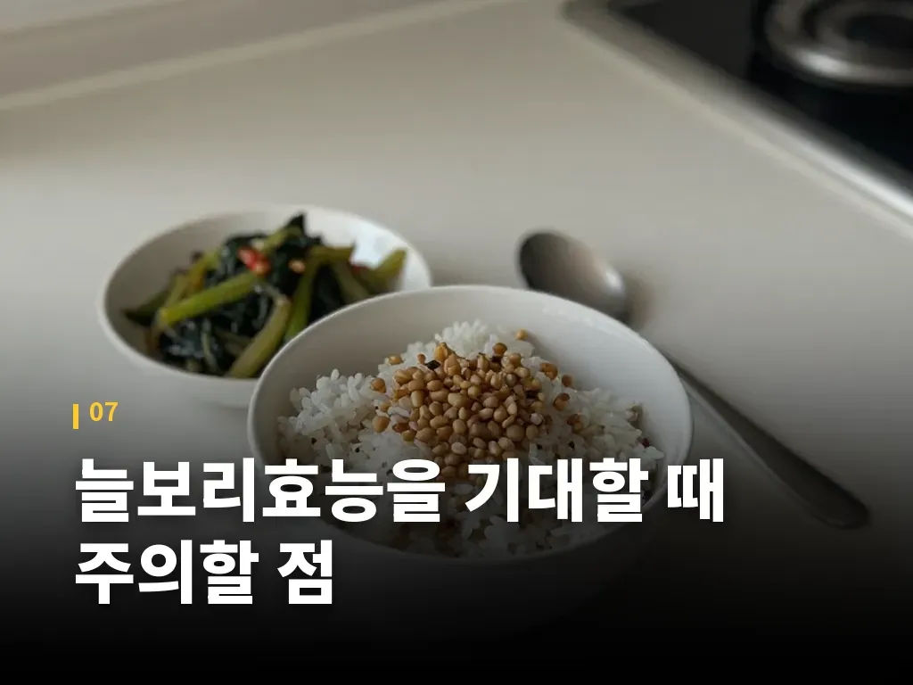 늘보리효능을 기대할 때 주의할 점 이미지
