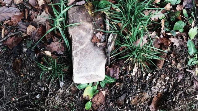 다리 안마기 인기 브랜드와 최신 트렌드 이미지