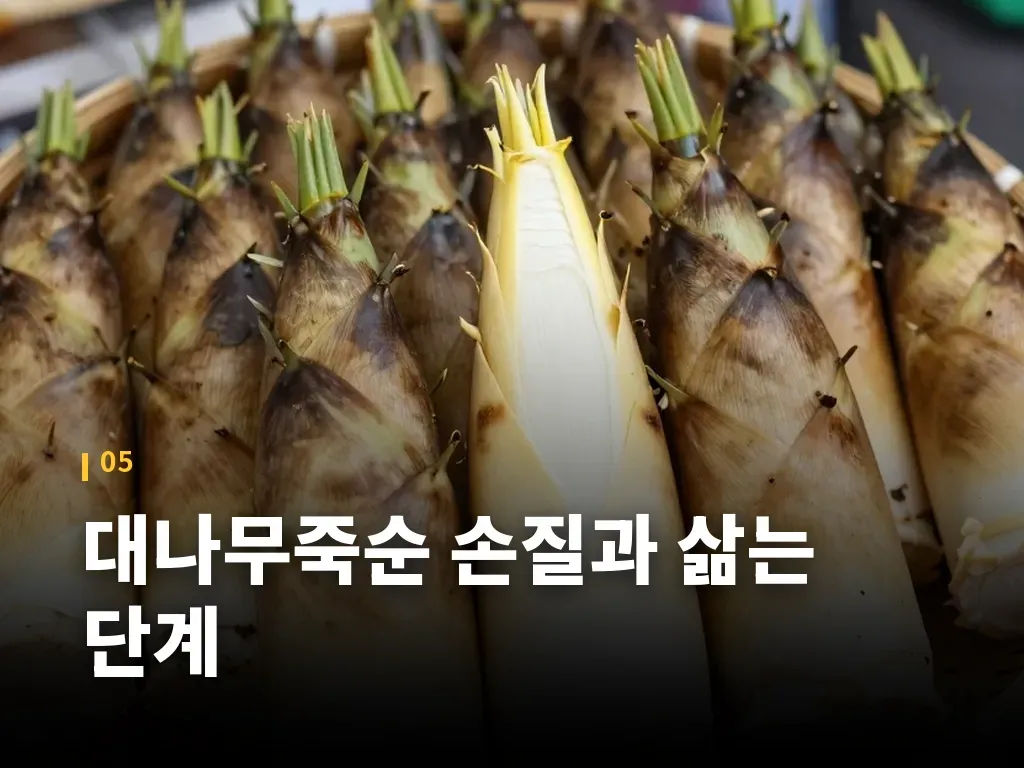 대나무죽순 손질과 삶는 단계 이미지