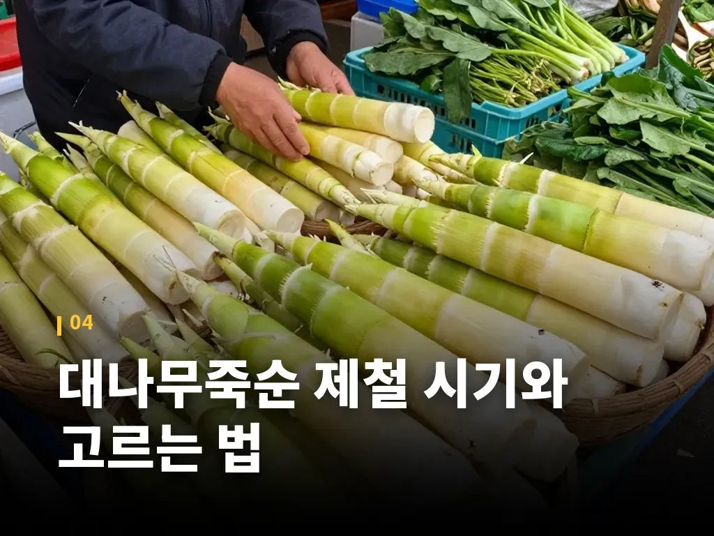 대나무죽순 제철 시기와 고르는 법 이미지