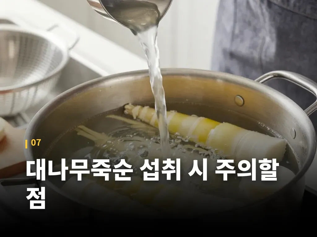 대나무죽순 섭취 시 주의할 점 이미지