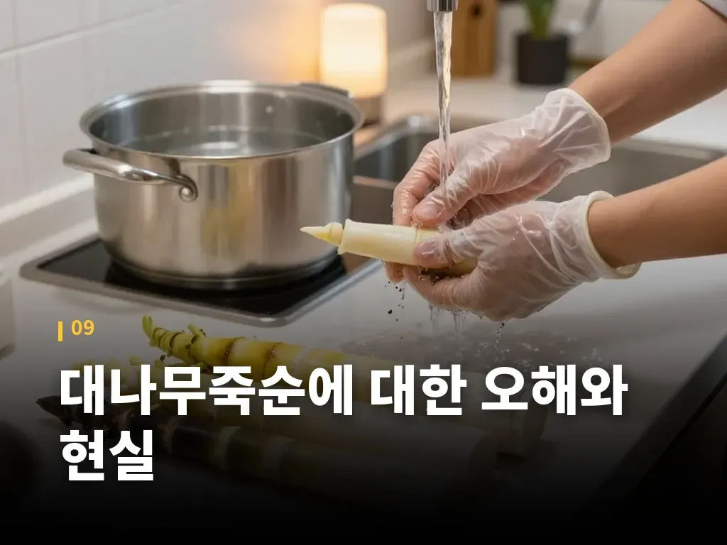대나무죽순에 대한 오해와 현실 이미지