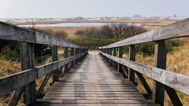 핵심 요약 이미지