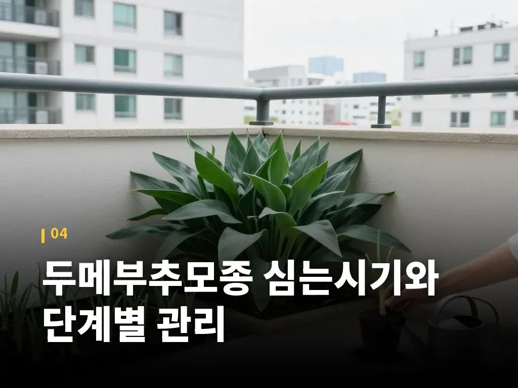 두메부추모종 심는시기와 단계별 관리 이미지