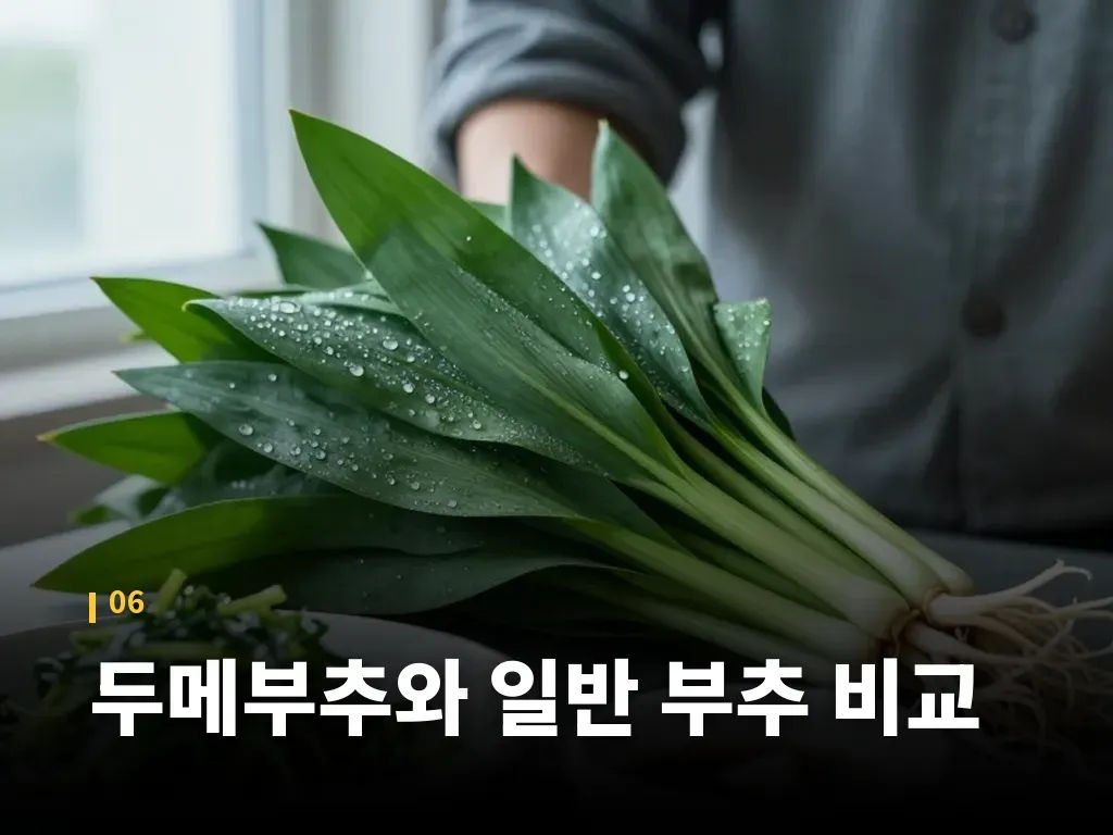 두메부추와 일반 부추 비교 이미지