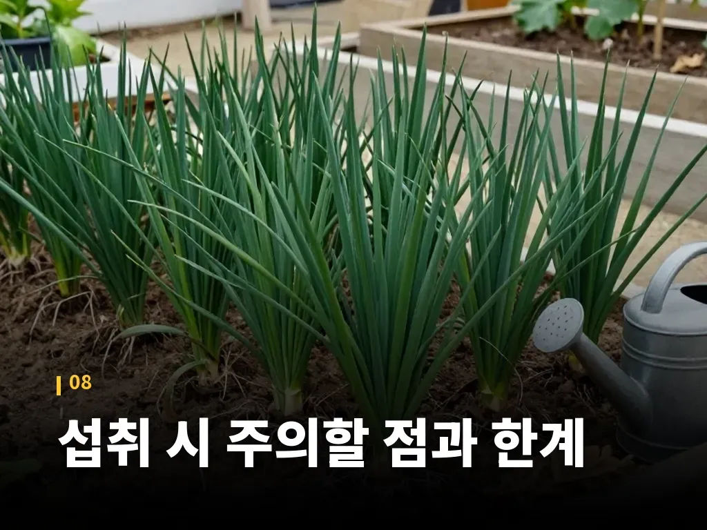 섭취 시 주의할 점과 한계 이미지