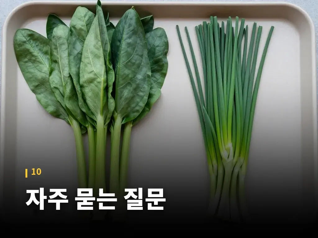 자주 묻는 질문 이미지