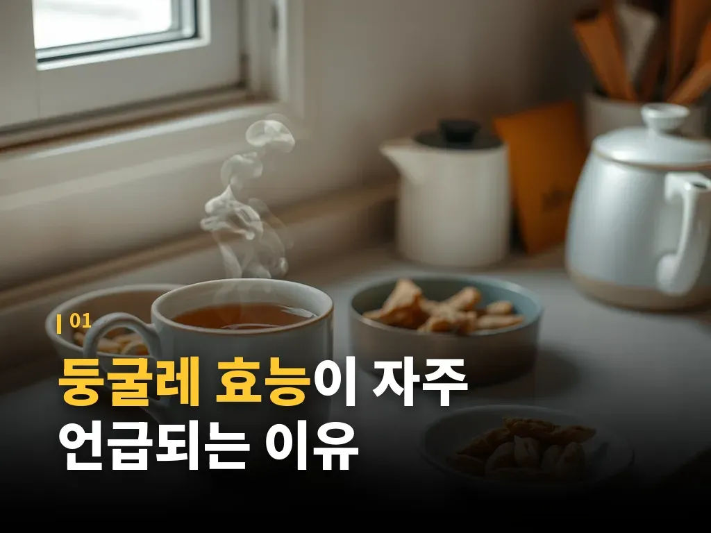 피로와 기력 저하에 대한 둥굴레 효능 이미지