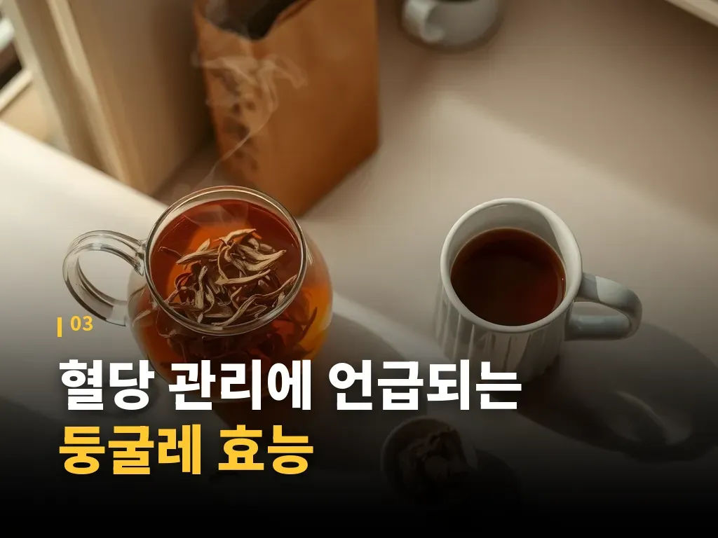둥굴레차와 다른 차의 비교 이미지