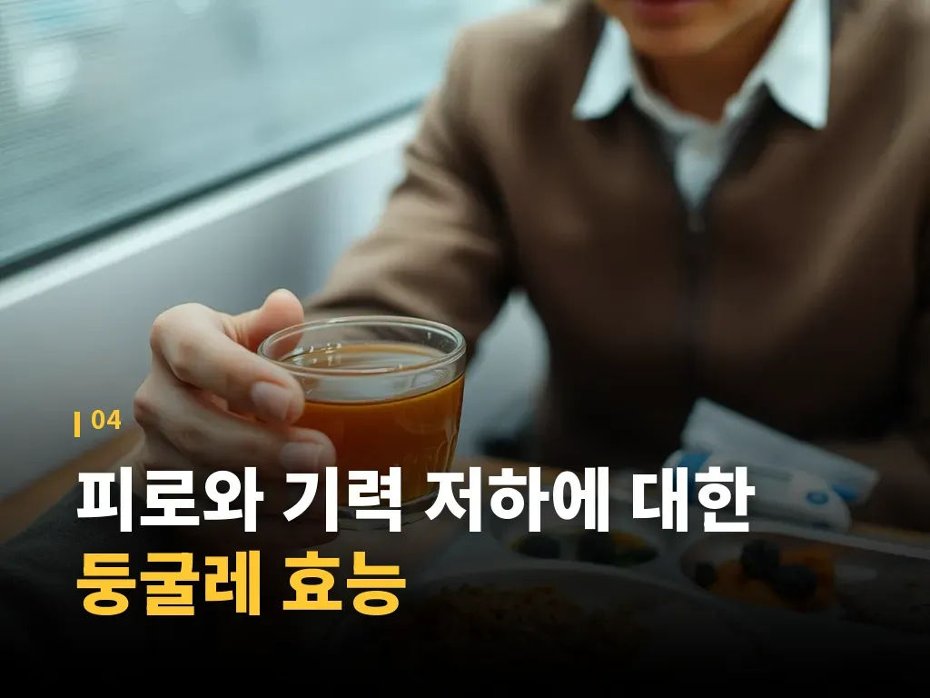 둥굴레 섭취 형태별 분류 이미지