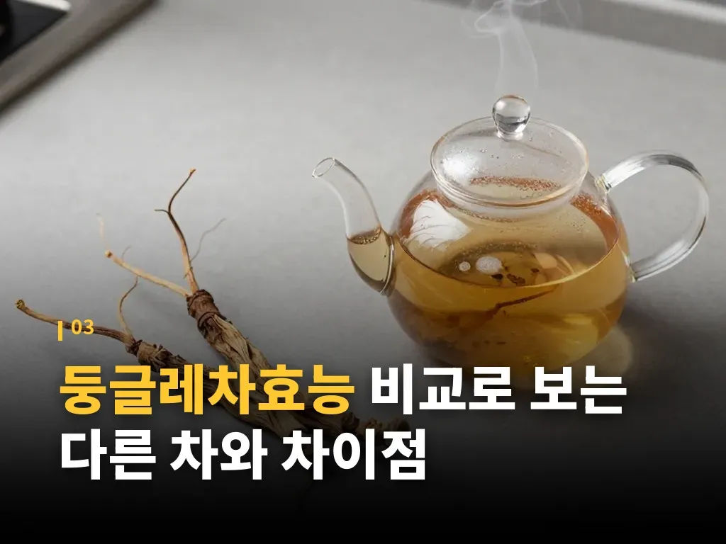 둥글레차 종류와 원료 선택법 이미지