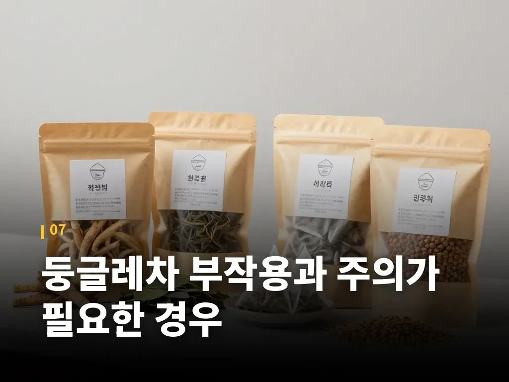 핵심요약 이미지