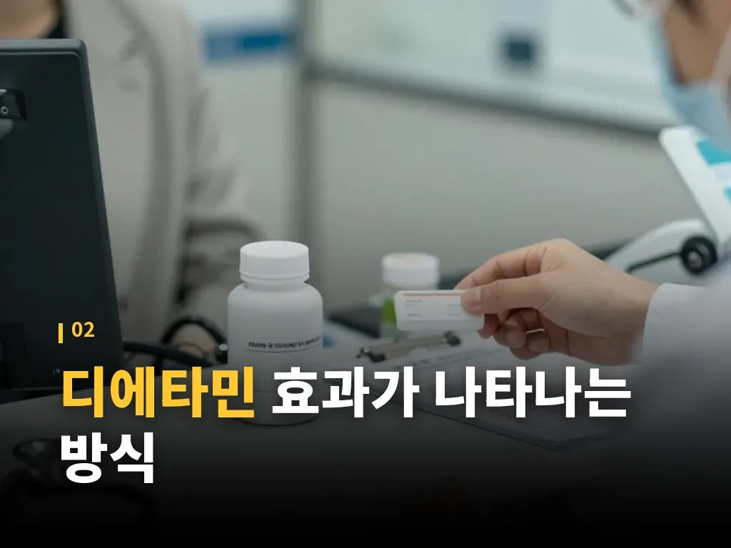디에타민과 다른 식욕억제제 비교 이미지