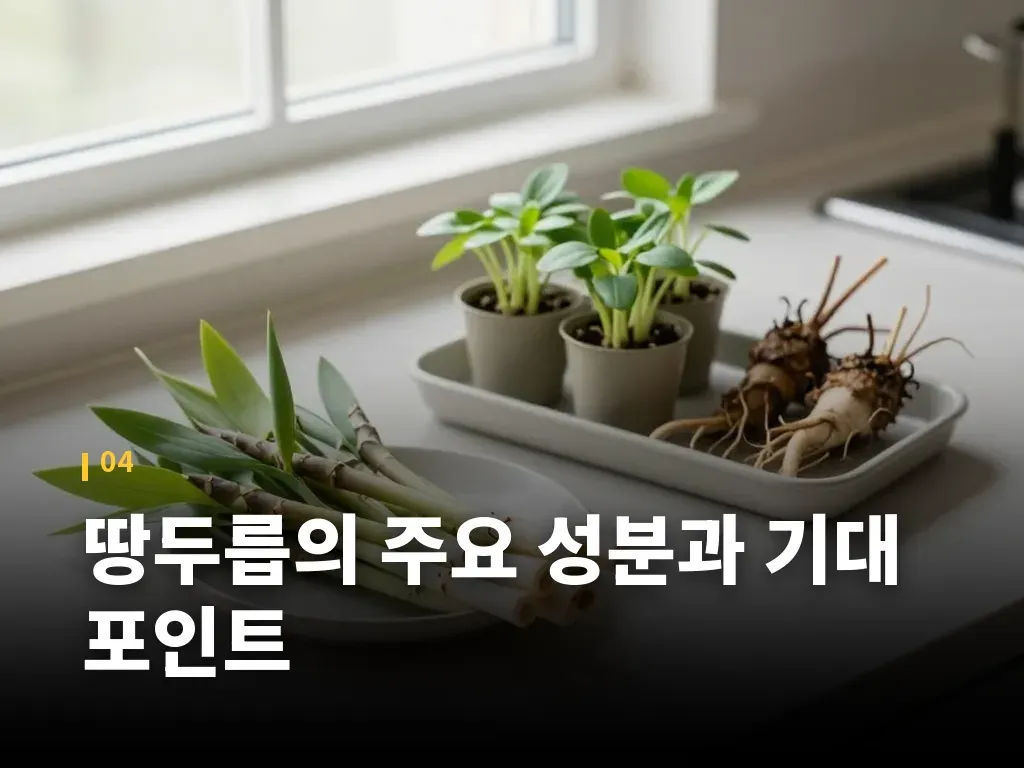 땅두릅의 주요 성분과 기대 포인트 이미지