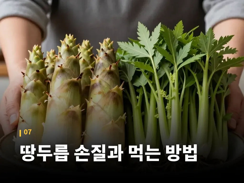 땅두릅 손질과 먹는 방법 이미지