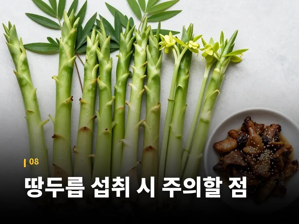 땅두릅 섭취 시 주의할 점 이미지