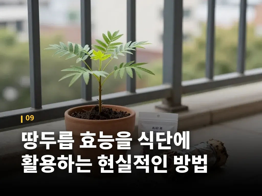 땅두릅 효능을 식단에 활용하는 현실적인 방법 이미지