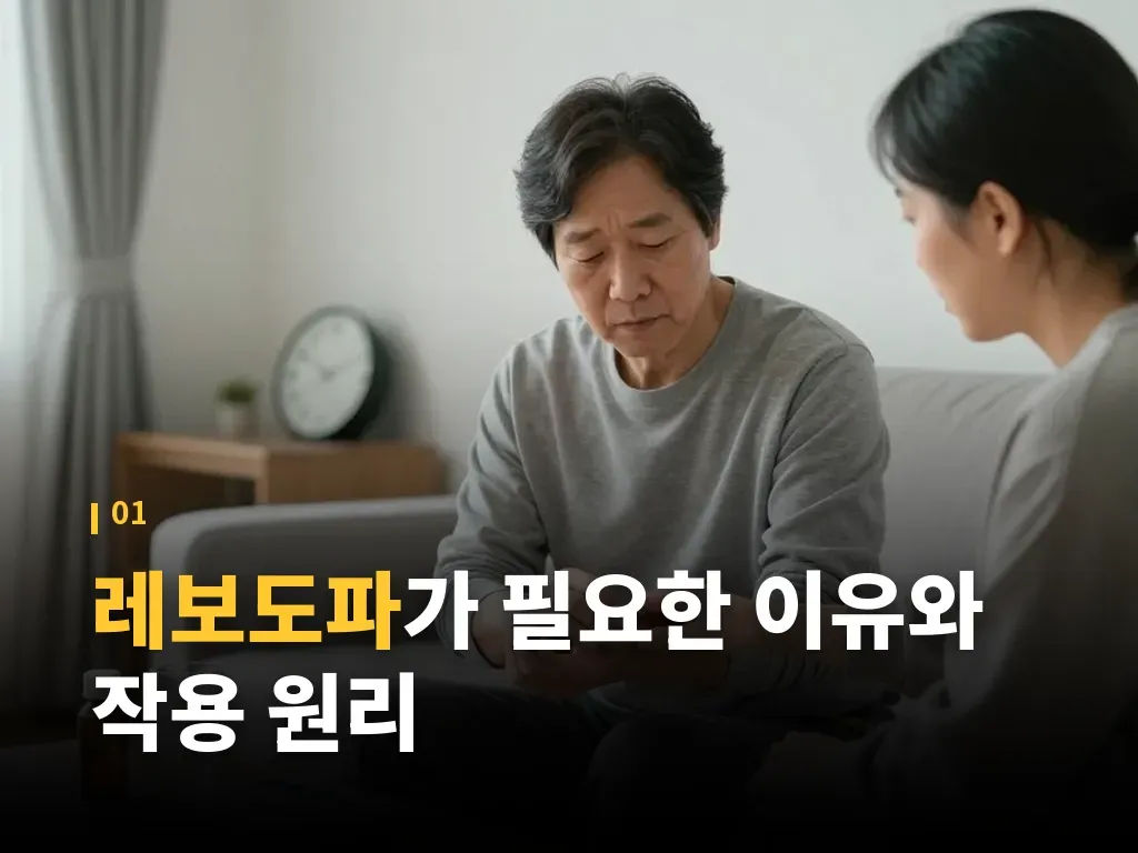 레보도파와 도파민 작용제의 차이 이미지