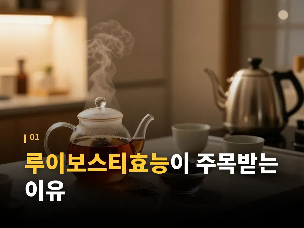 루이보스티효능을 높이는 우림 방법 이미지