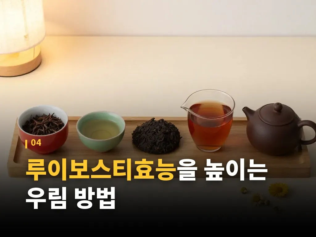루이보스티효능이 잘 맞는 사람과 주의할 사람 이미지