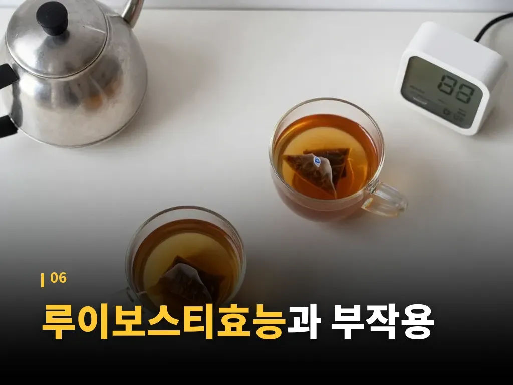 루이보스티효능 Q&A 이미지