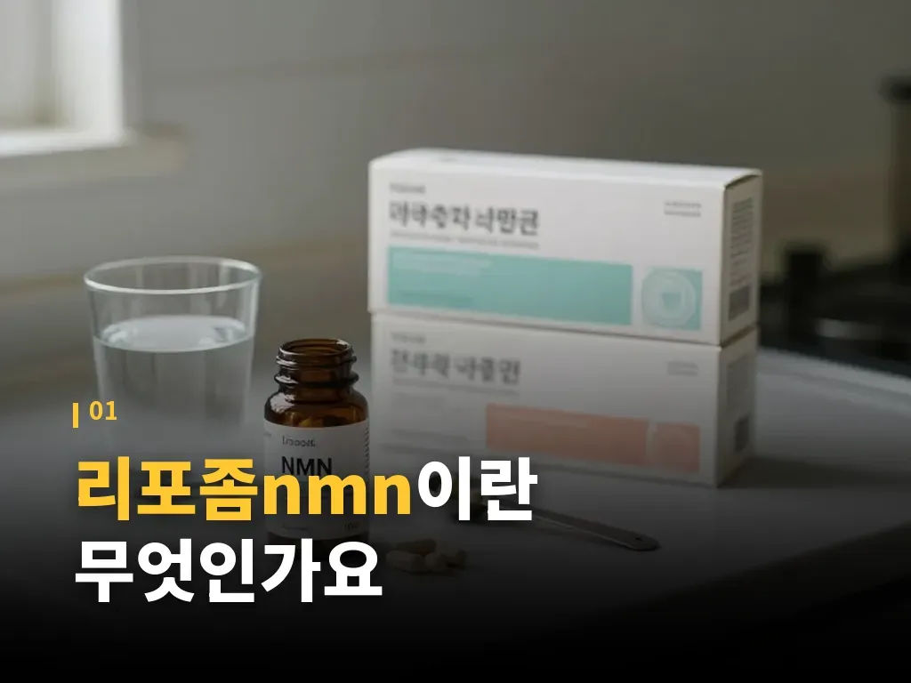 리포좀nmn의 기대 포인트 3가지 이미지