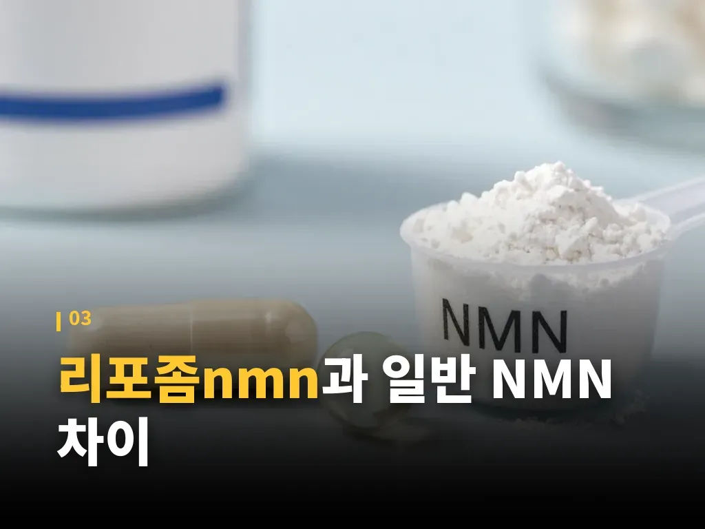 리포좀nmn 복용 방법과 타이밍 이미지