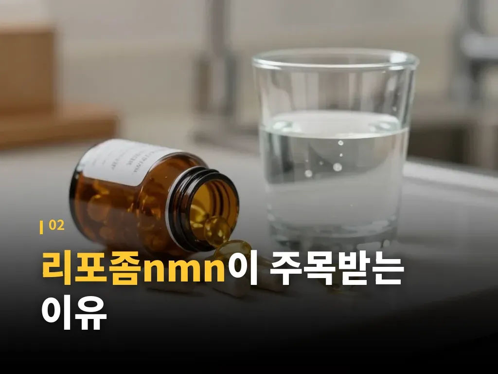 리포좀nmn 섭취 전 확인할 기준 이미지