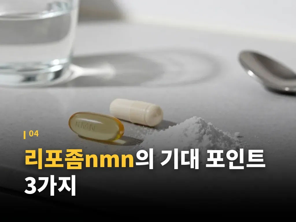 리포좀nmn과 함께 비교되는 성분 이미지