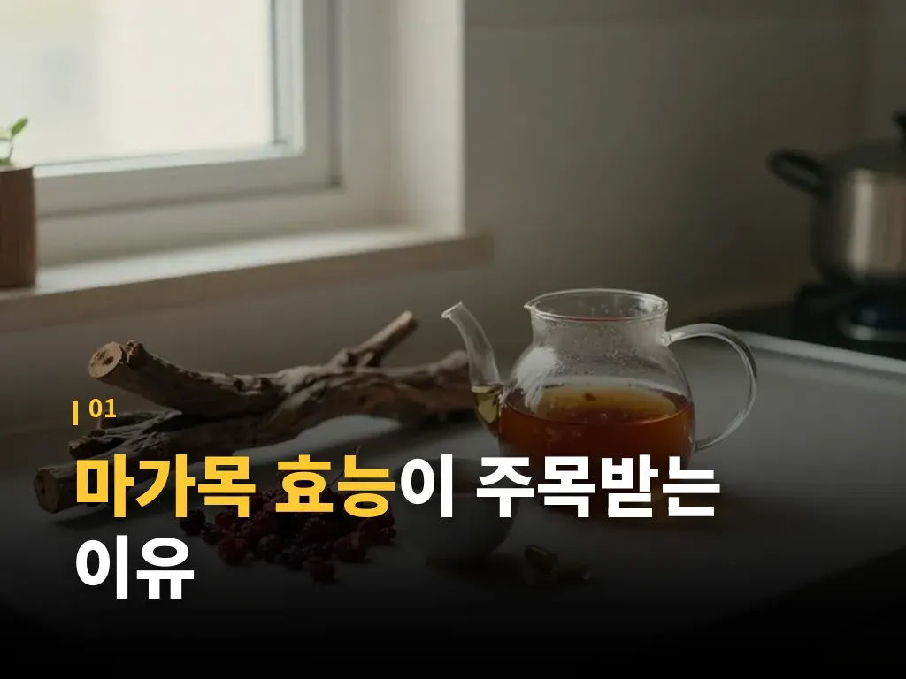 섭취 형태별 차이와 선택 기준 이미지