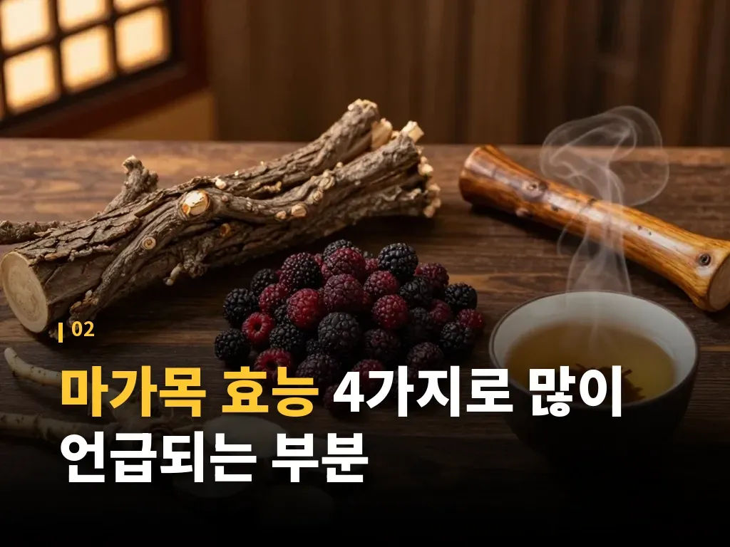 마가목 효능을 관절 건강과 연결해 보는 법 이미지