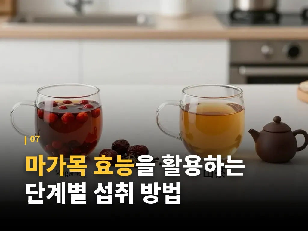마가목 효능이 잘 맞는 사람과 조심할 사람 이미지