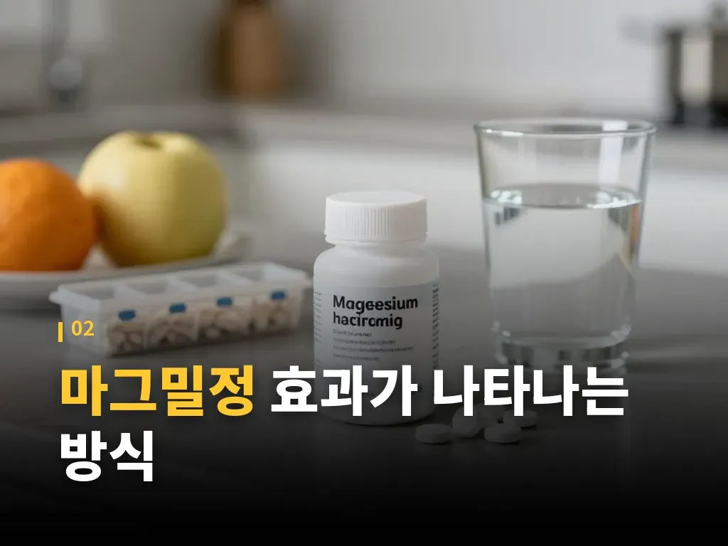 마그밀정과 다른 변비약 비교 이미지
