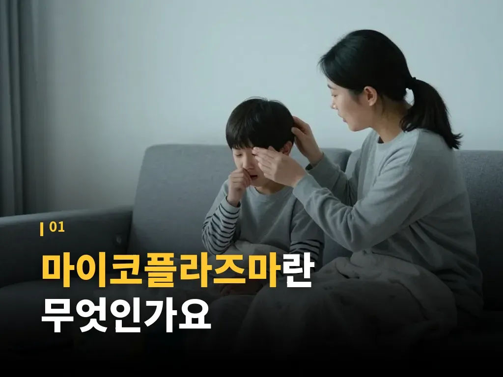 전염 경로와 격리 기준은 어떻게 보나요 이미지