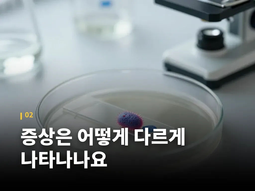진단은 어떤 방식으로 진행되나요 이미지