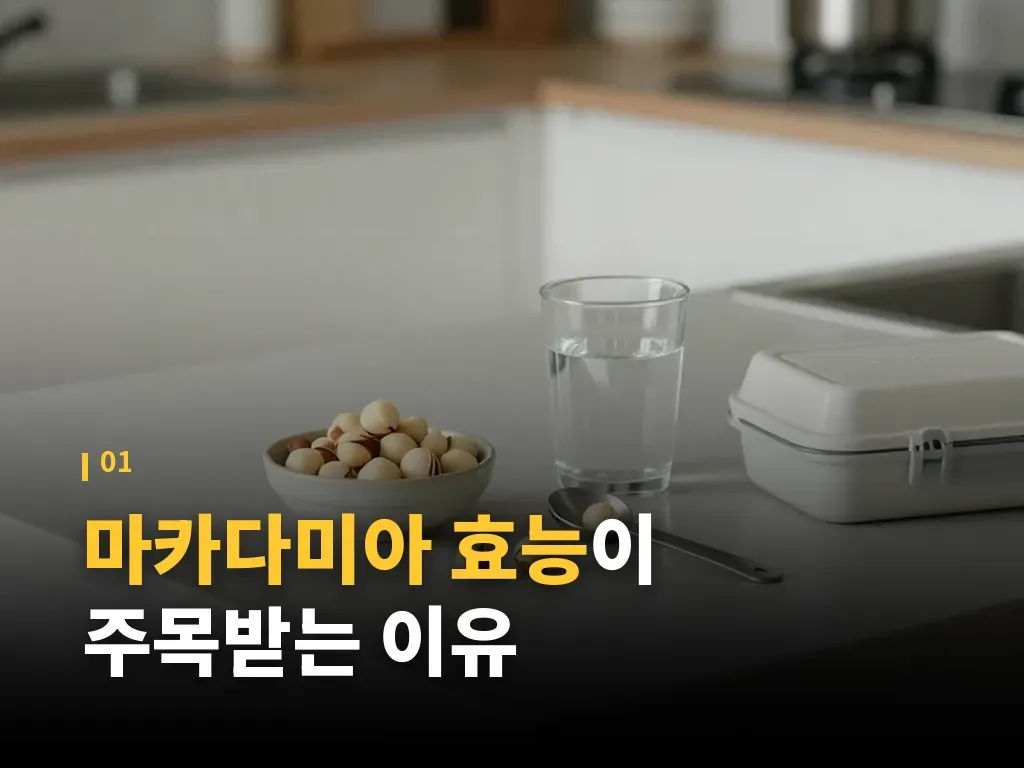 칼로리와 하루 섭취량 기준 이미지