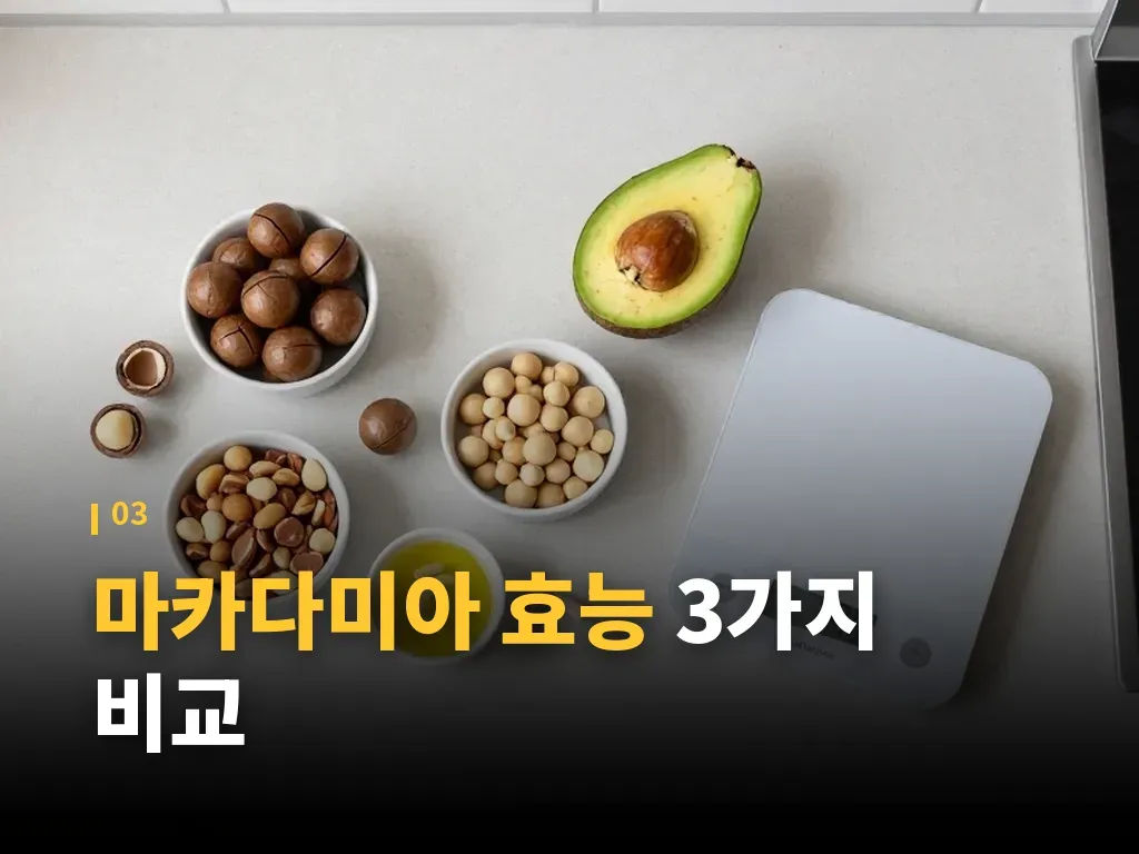 유형별 고르는 기준 이미지