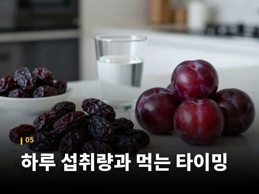 하루 섭취량과 먹는 타이밍 이미지