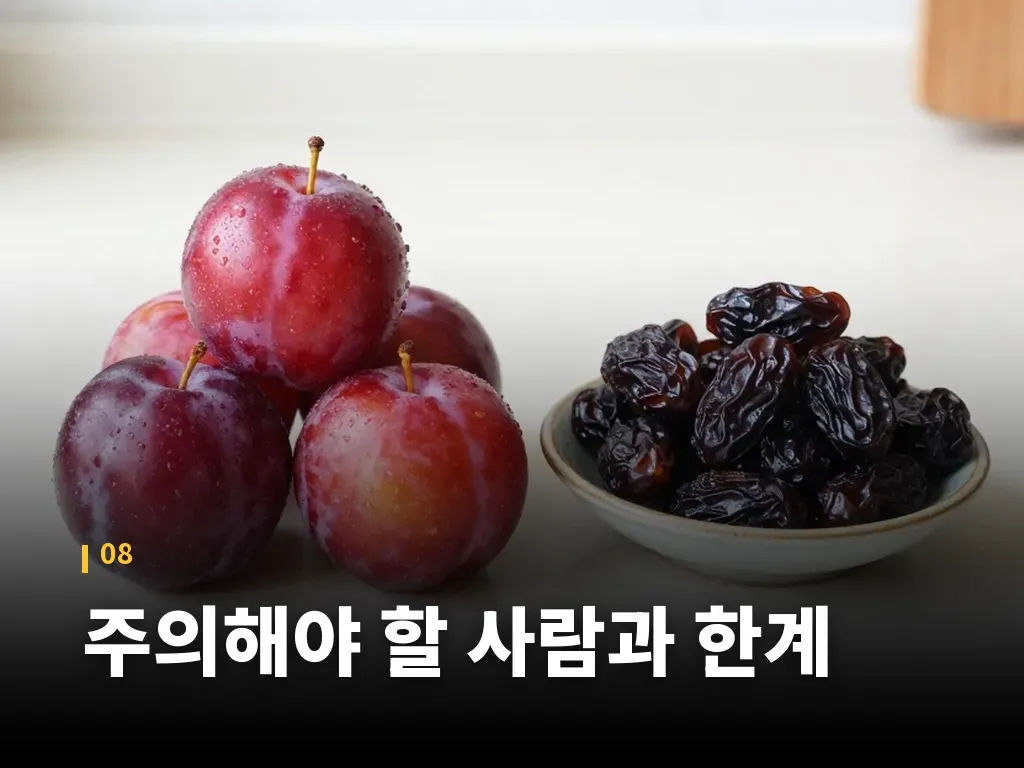 주의해야 할 사람과 한계 이미지