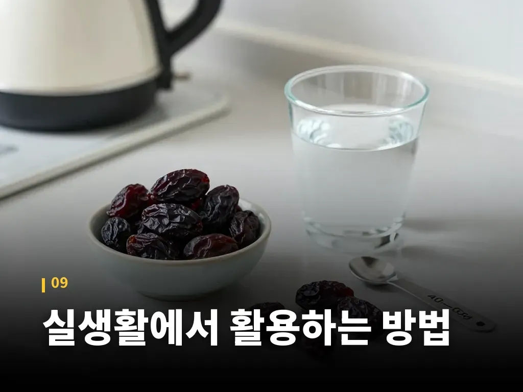 실생활에서 활용하는 방법 이미지