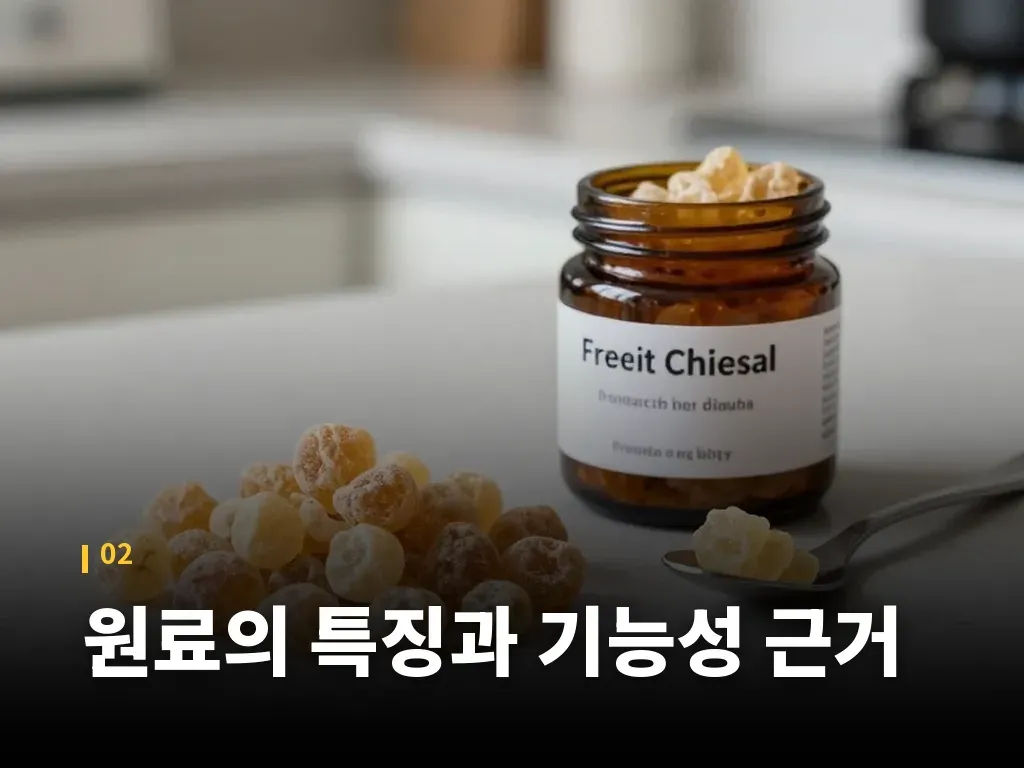 복용법과 섭취 타이밍 이미지