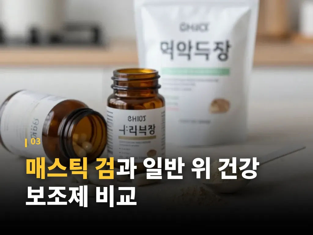유형별로 보는 선택 기준 이미지
