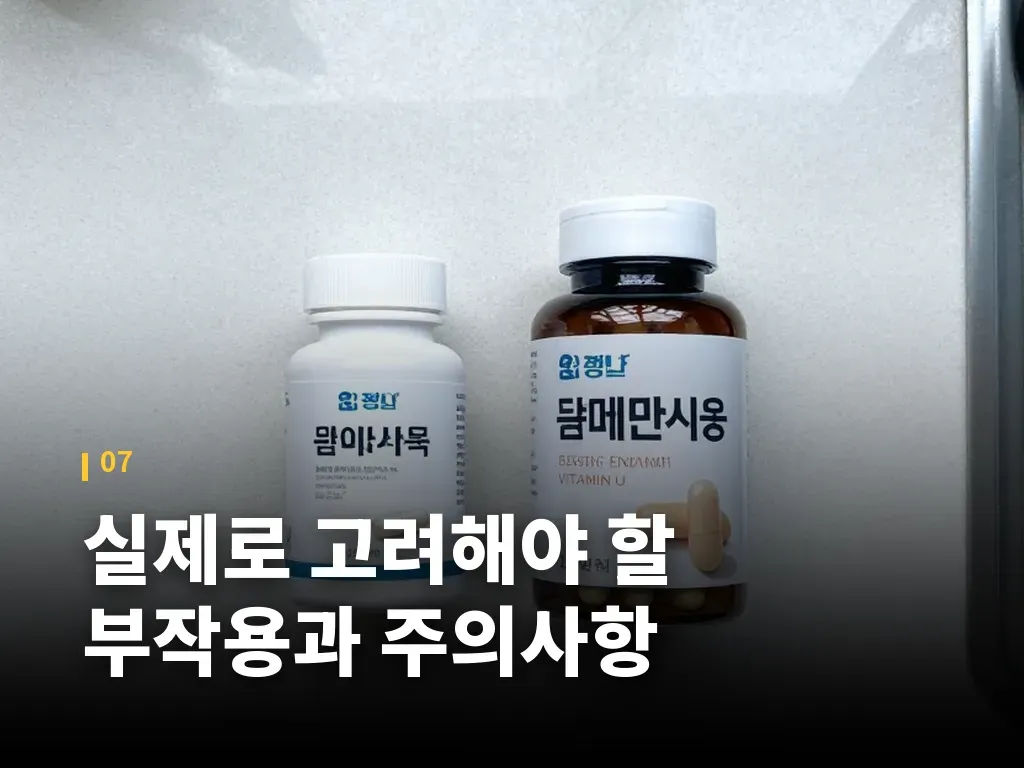매스틱 검에 대한 오해와 현실 이미지