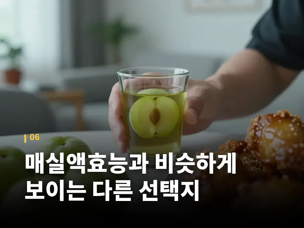 매실액효능과 비슷하게 보이는 다른 선택지 이미지