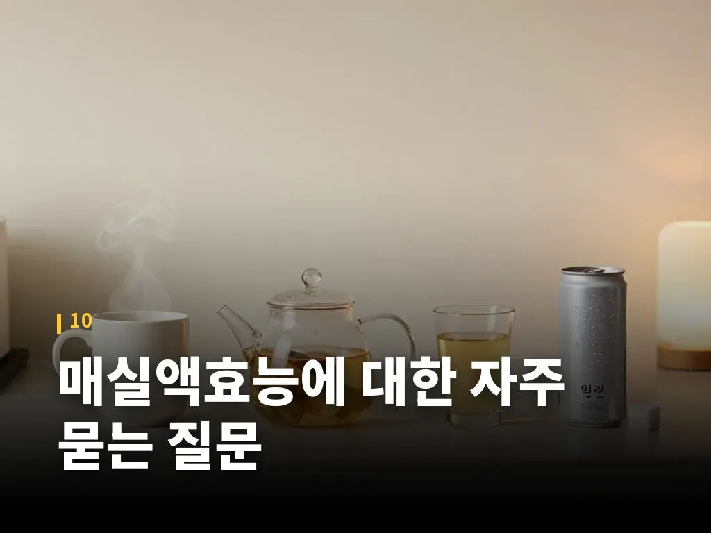 매실액효능에 대한 자주 묻는 질문 이미지